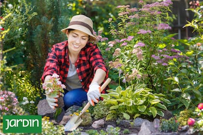 Un jardín bien ordenado no es el que se ve impecable, sino el que respira mejor