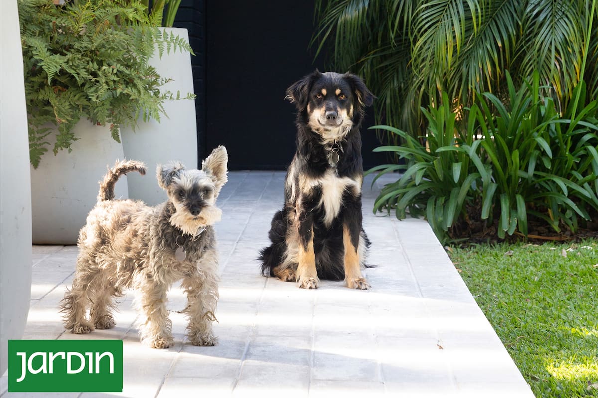 Un jardín bien pensado evita renuncias forzadas entre diseño y uso cotidiano