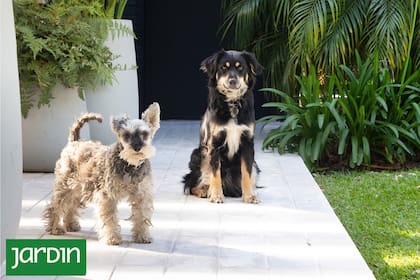 Un jardín bien pensado evita renuncias forzadas entre diseño y uso cotidiano