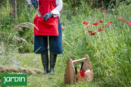 Un jardín coherente no es el que mayor cantidad de especies posee sino el que las usa con intención