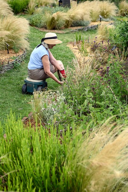Un jardín con nativas cumple el doble propósito de ser sostenible además de visualmente atractivo