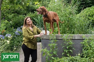 Un jardín en Pilar diseñado por el Estudio Barzi Casares