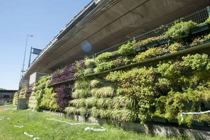 Un jardín en una autopista