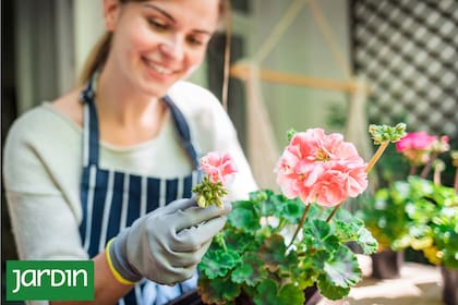 Un jardín familiar es una red de vínculos vivos, enraizados y proyectados hacia el futuro