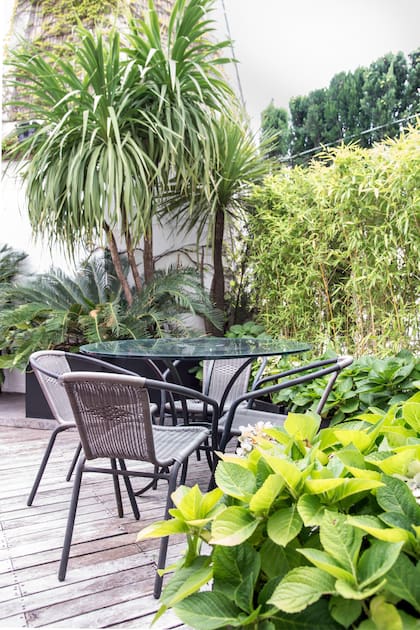 Un jardín pequeño se diseña con profundidad y una elección adecuada de especies