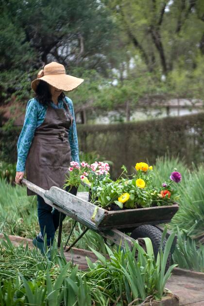 Un jardín saludable empieza con acciones simples y bien pensadas