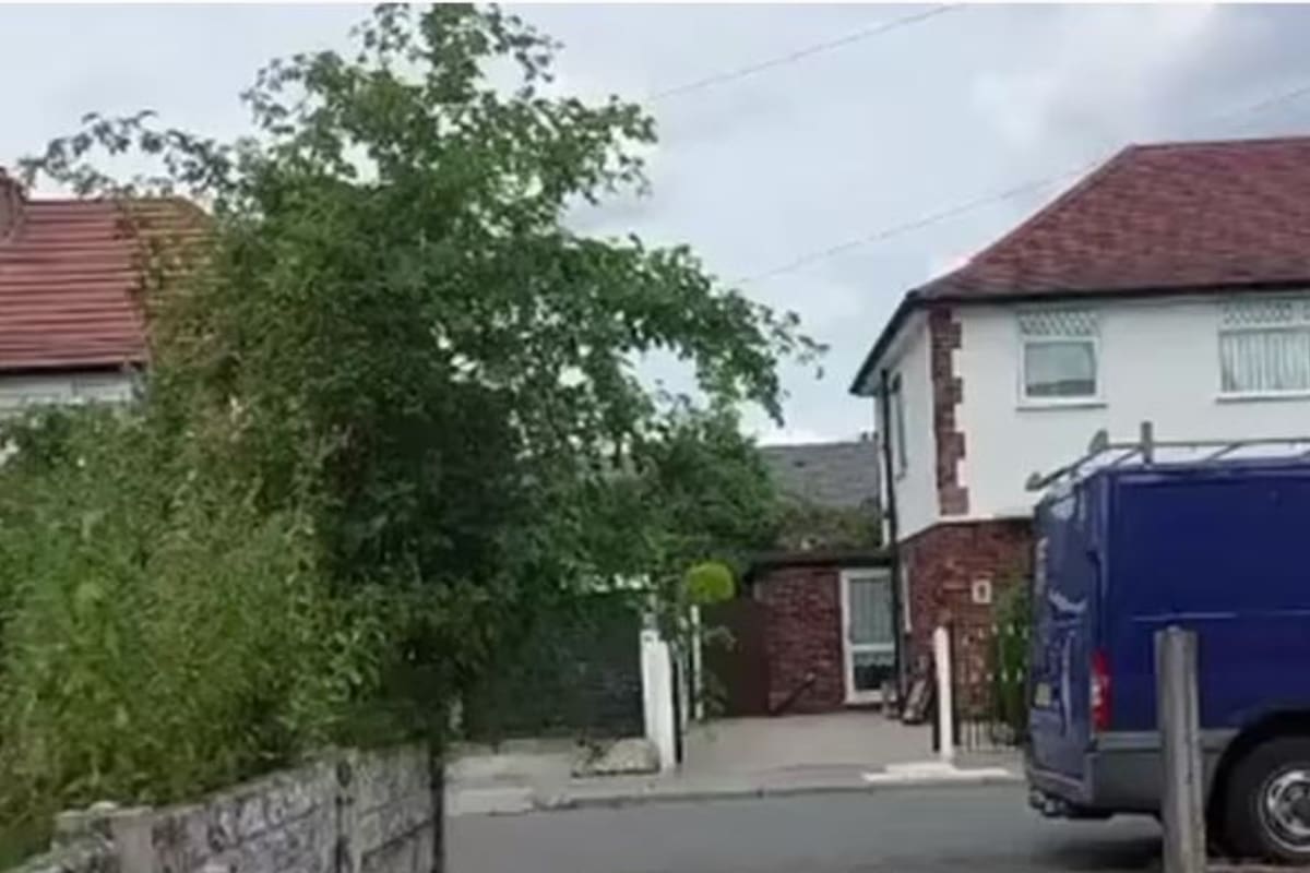 Un jardinero de Reino Unido estuvo en la mira por recortar el árbol de su vecino