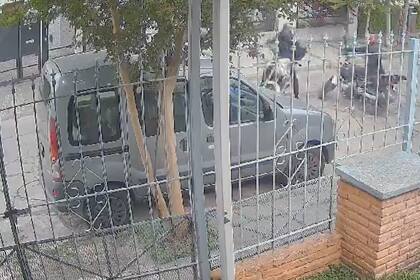 Un joven baleado en Ciudad Jardín para robarle la moto.