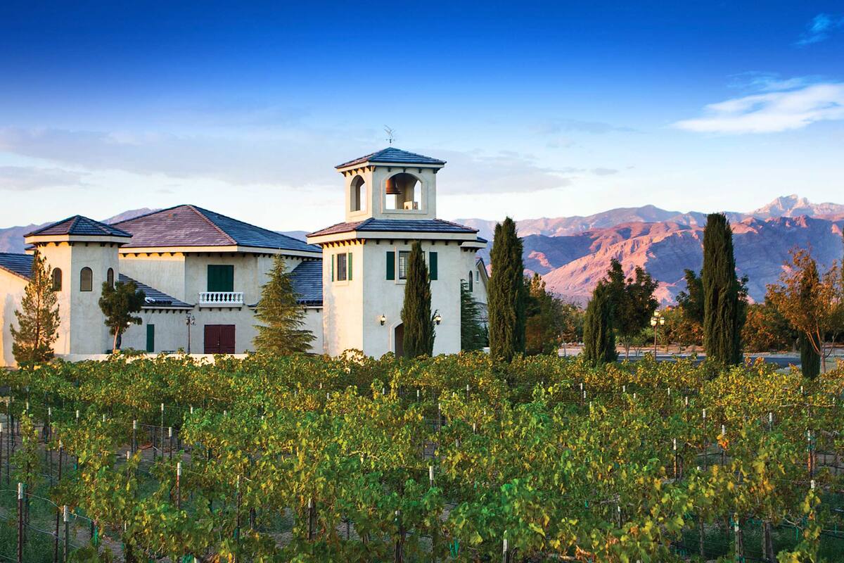 Un joven con ayuda de un amigo crearon una herramienta para los que buscan emigrar de las grandes ciudades