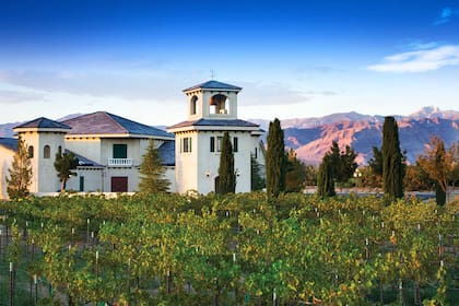 Un joven con ayuda de un amigo crearon una herramienta para los que buscan emigrar de las grandes ciudades