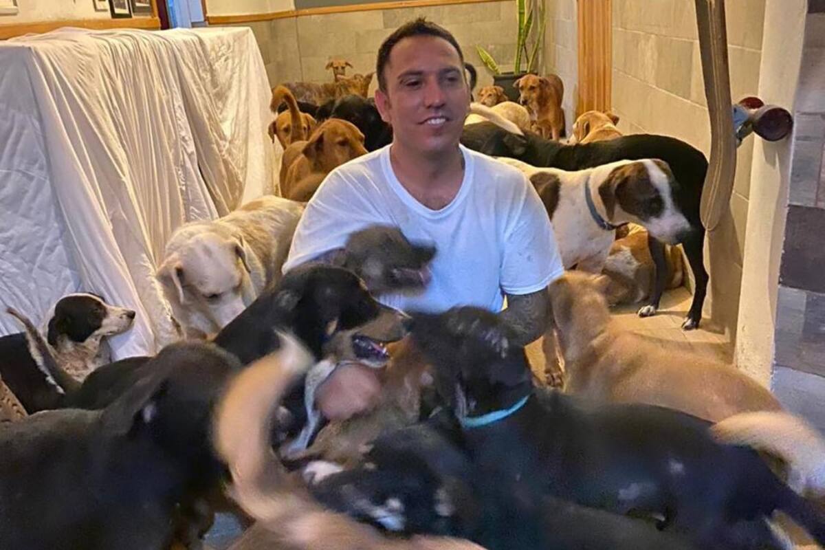 Un joven habitante de Cancún metió en su hogar esa gran cantidad de animales para protegerlos de la llegada del fenómeno meteorológico que afectó en el día de hoy esa ciudad mexicana