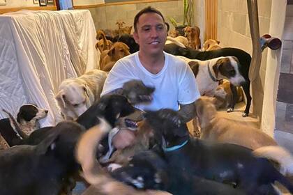 Un joven habitante de Cancún metió en su hogar esa gran cantidad de animales para protegerlos de la llegada del fenómeno meteorológico que afectó en el día de hoy esa ciudad mexicana