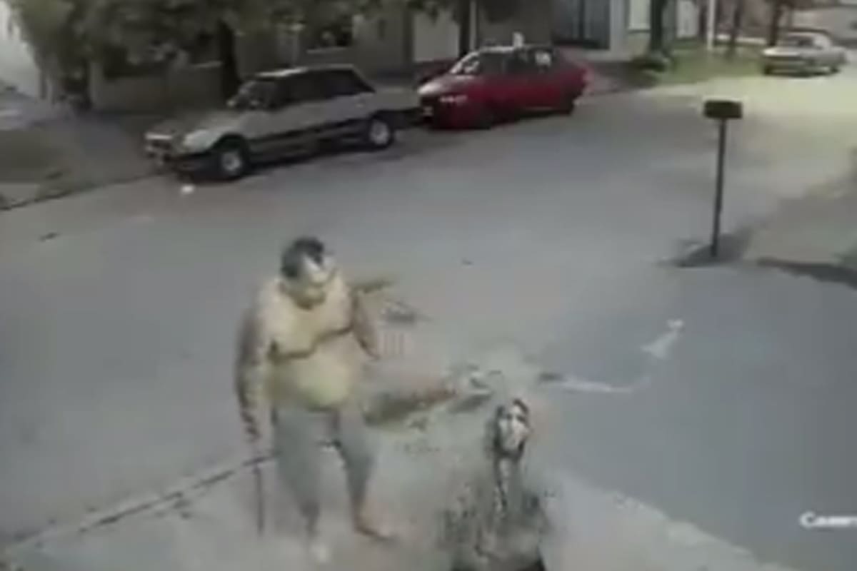 Un joven lo asaltó pero lo atrapó u con un mavhete lo hizo arrodillar frente a las cámaras de seguridad