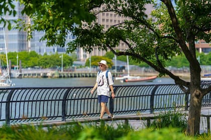 Un joven pasea por el Central Park, en Nueva York