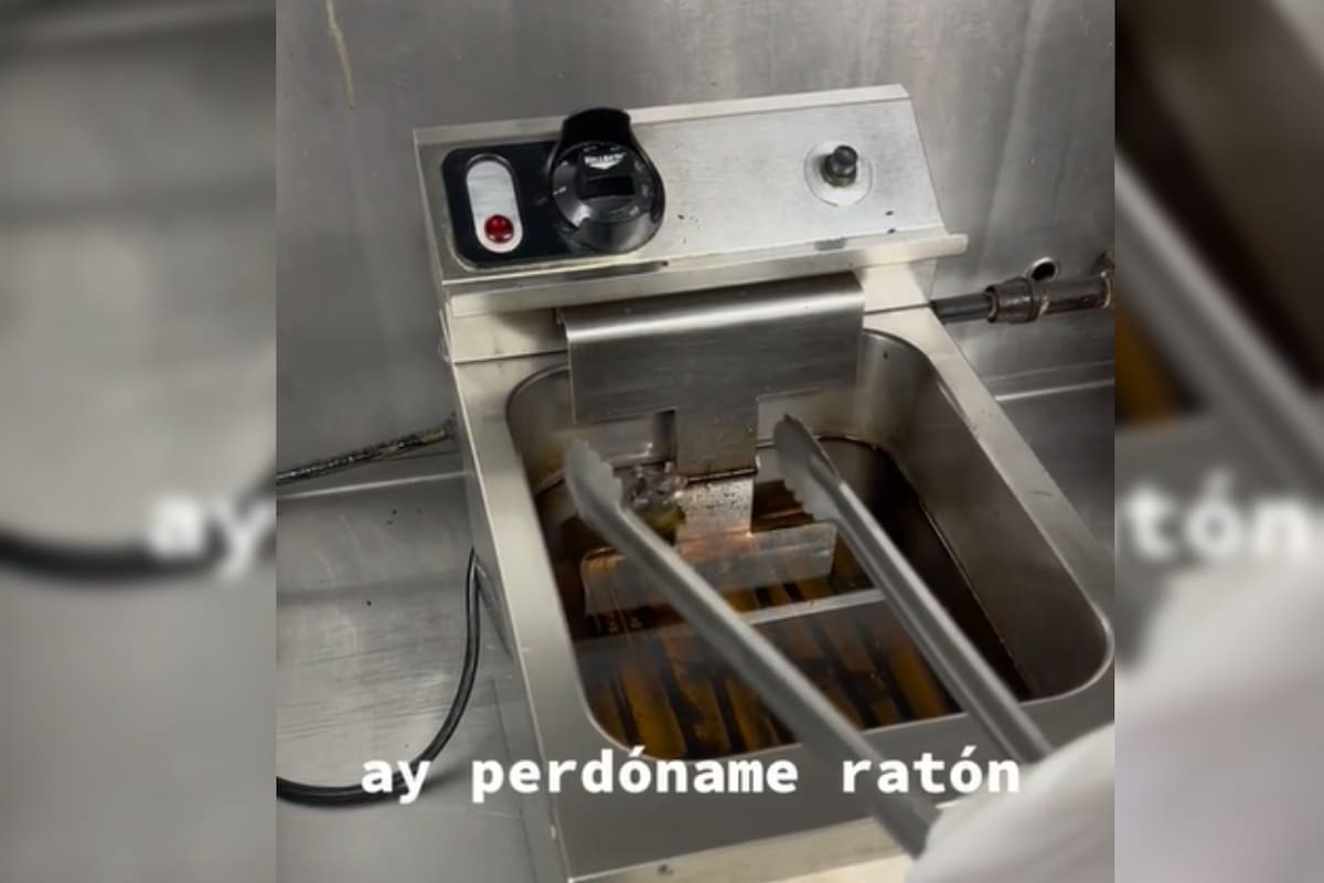 Un joven reaccionó al encontrarse con un ratón en su trabajo (Captura video)