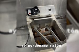 Un joven reaccionó al encontrarse con un ratón en su trabajo (Captura video)