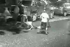Un joven recibió una brutal golpiza a la salida de un boliche en Bahía Blanca y quedó inconsciente