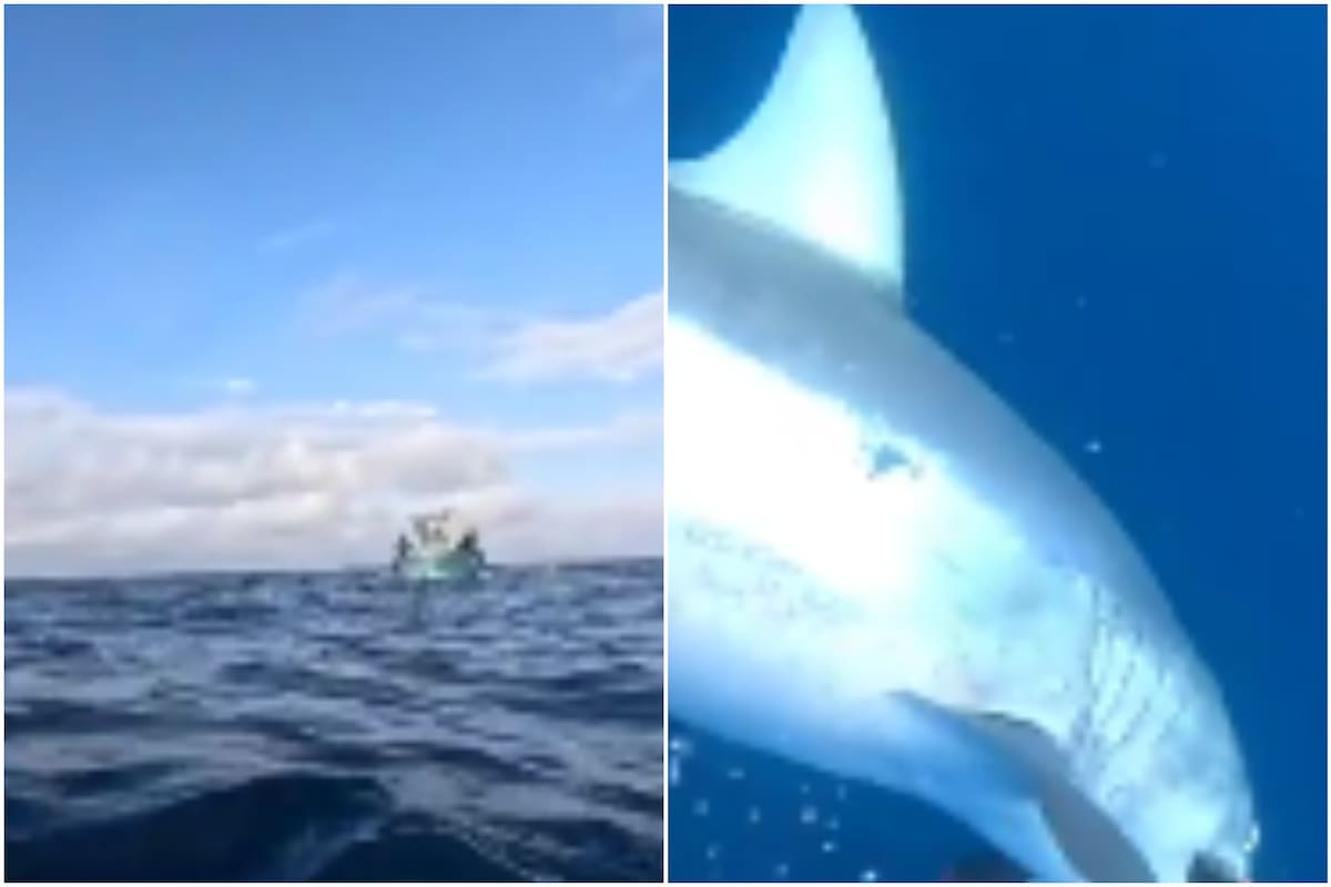 Un joven salió a pescar sin saber a lo que se enfrentaría, una amenaza real a pocos centímetros de distancia