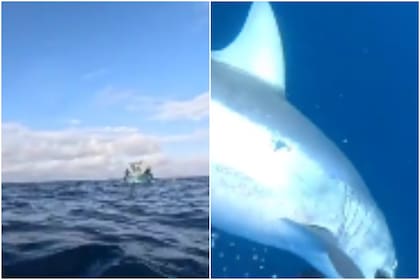 Un joven salió a pescar sin saber a lo que se enfrentaría, una amenaza real a pocos centímetros de distancia