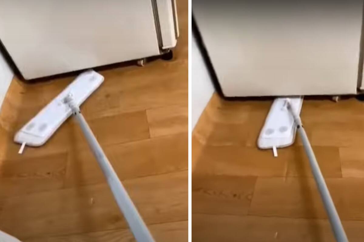 Un joven se aterró al ver cómo una rata salía de debajo de su heladera