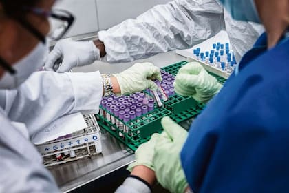 Un laboratorio donde se investiga el coronavirus en Brooklyn, Nueva York,245x151mm