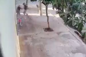 Un ladrón asaltó y golpeó a una mujer cuando esperaba a su hija en la puerta del jardín "Osito Mimoso" en Asunción al 4700, Ciudadela