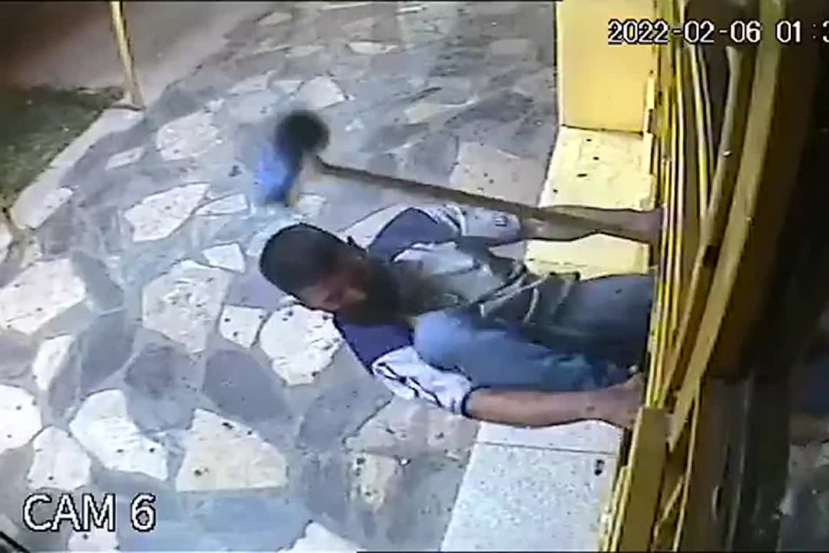 Un ladrón quiso entrar a un local y fue repelido a escobazos en Zárate