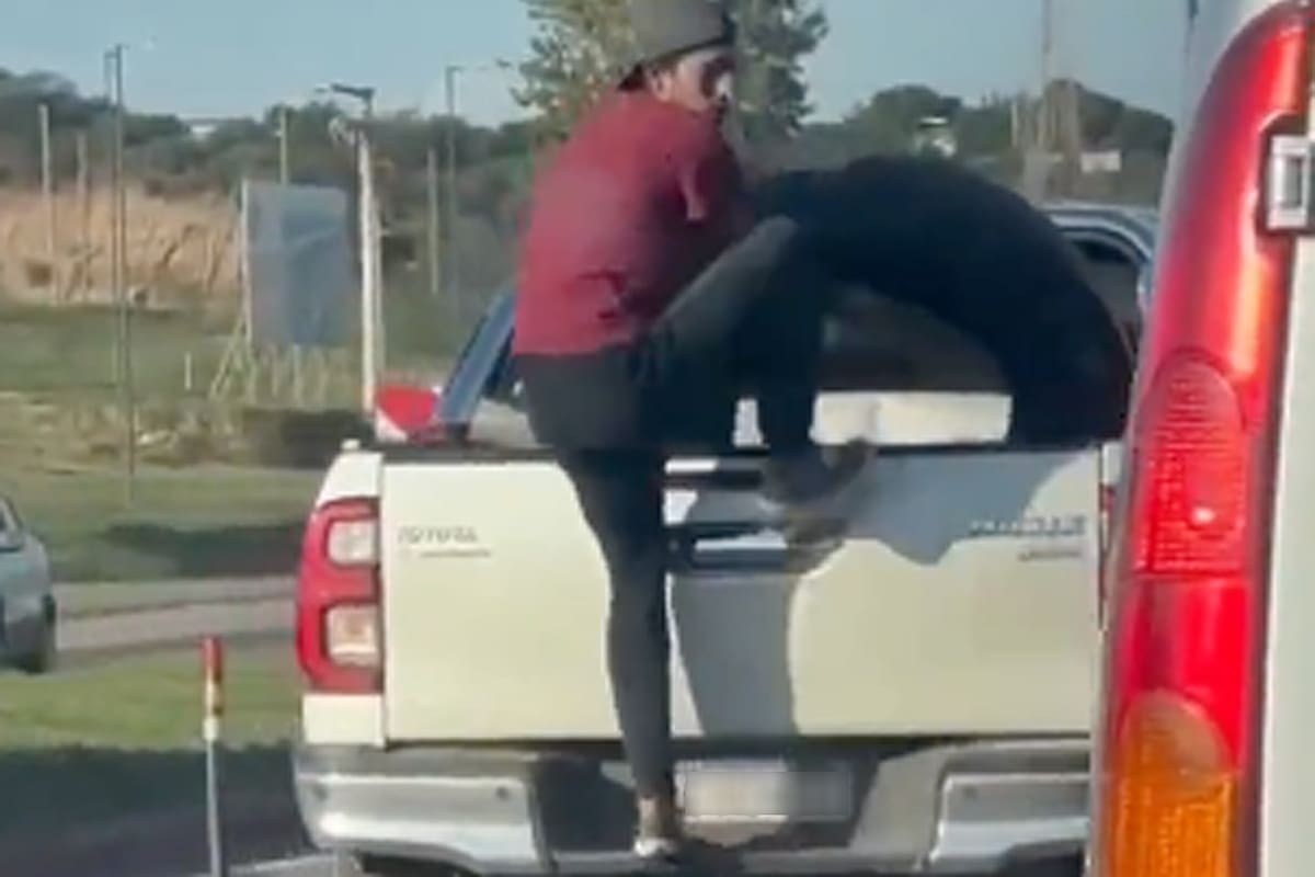 Un ladrón se colgó de la caja de una camioneta para robarse un neumático
