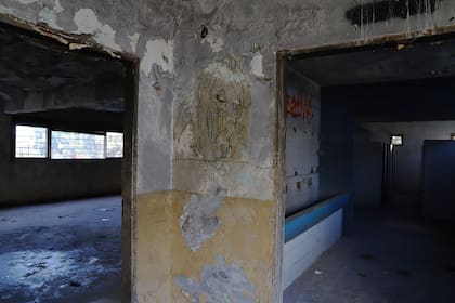 Un león enojado dibujado en una de las paredes en ruinas del hogar donde vivían los niños que albergaba la Fundación Felices los Niños. "Busqué dejar un registro que no solo respondiera a una denuncia de un caso, sino a la concientización simbólica social de lo que significa eso para todos, para los chicos que sobrevivieron al abuso y para nuestra sociedad." dice Tamara Grinberg.