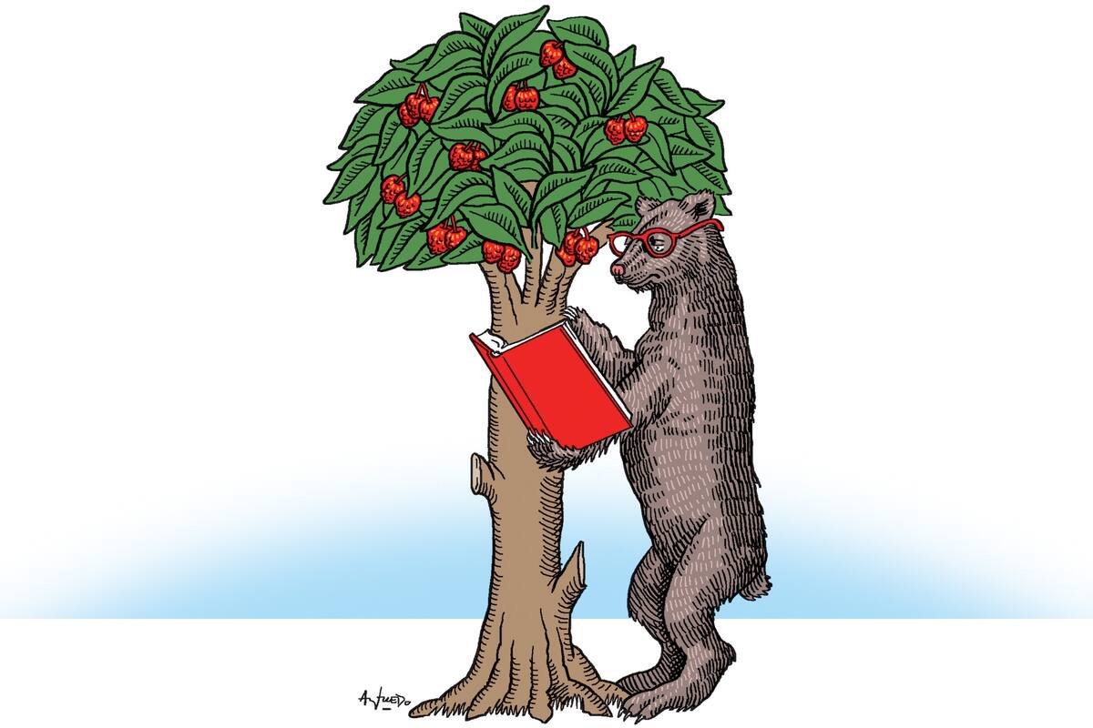 Un libro sobre Madrid