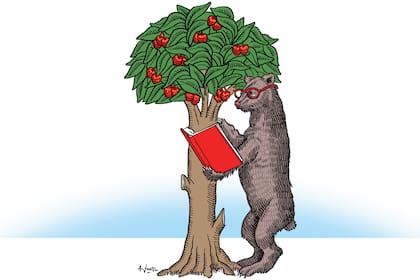 Un libro sobre Madrid