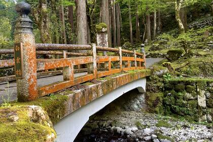 Un llamado trajo un aviso ineludible: era tiempo de volver a Japón.