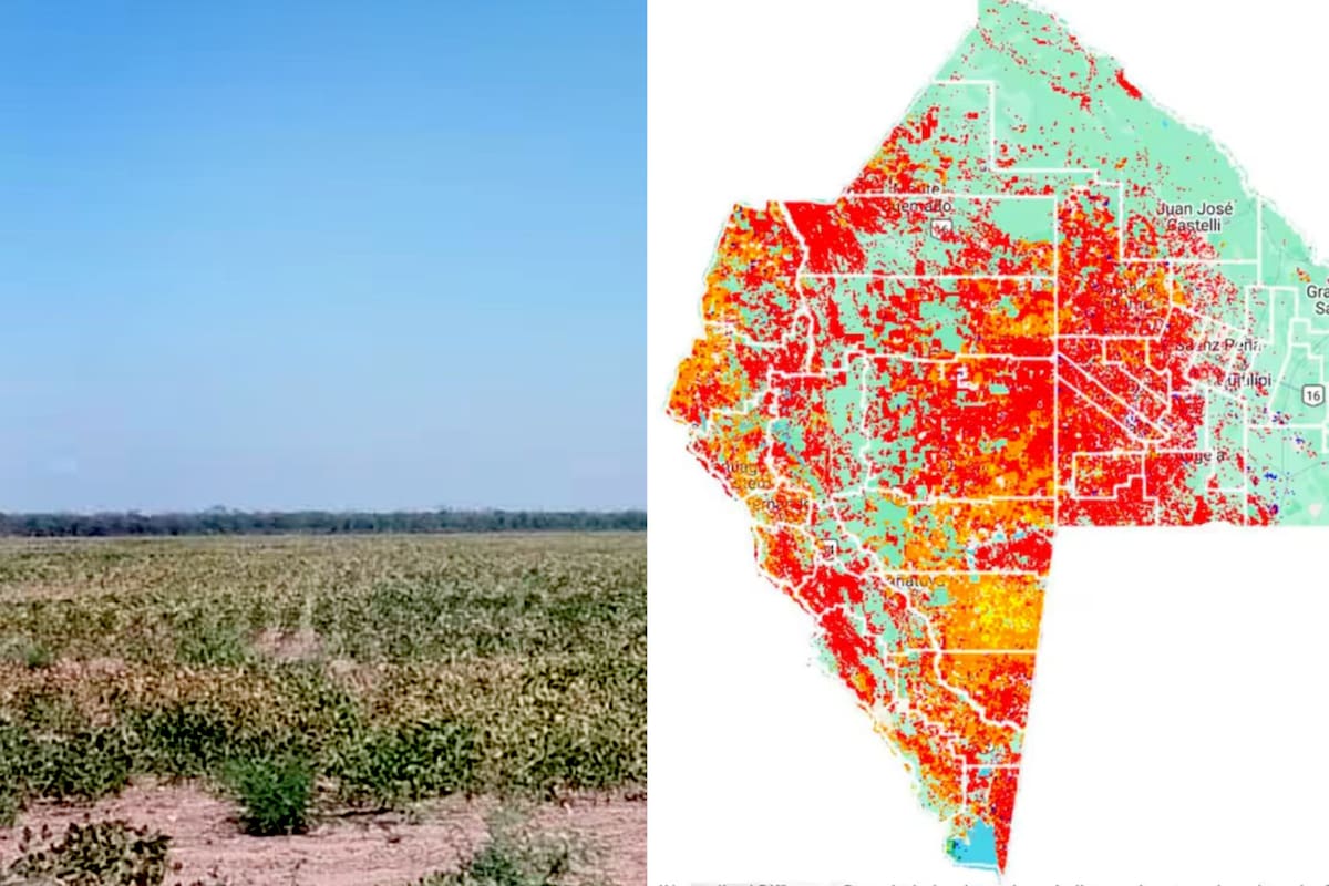 Un lote con soja afectado por la sequía en Santiago del Estero; a la derecha, una imagen que refleja el impacto en esa provincia y Chaco