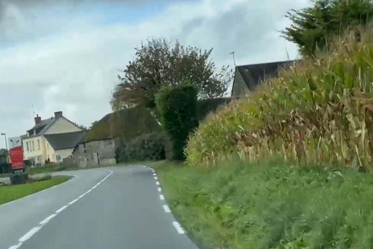 Un lote de maíz al lado de la ruta y la urbanización en Normandía, Francia