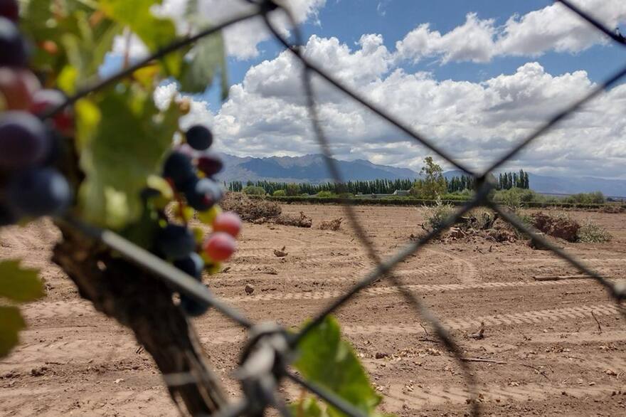 Mendoza