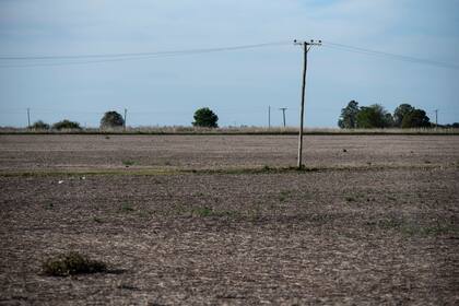 Un lote en Hughes, Santa Fe, que para esta época del año ya debería estar sembrado