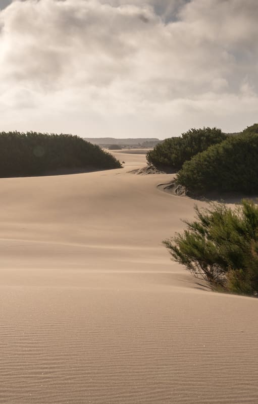 Un lugar para turistas que buscan tranquilidad.
