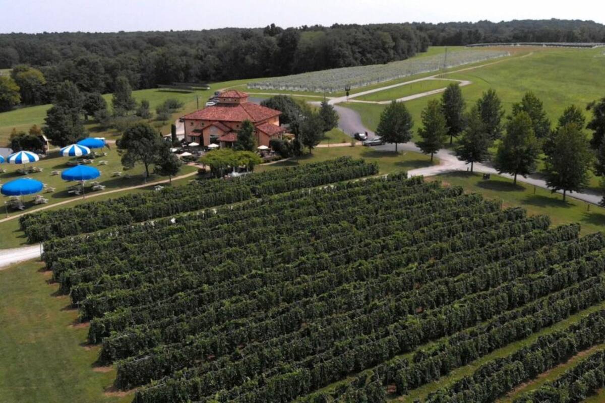 Un lugar ubicado en el condado de Jackson fue nombrado el mejor del estado para una escapada de último minuto (@blueskyvineyard/Instagram)