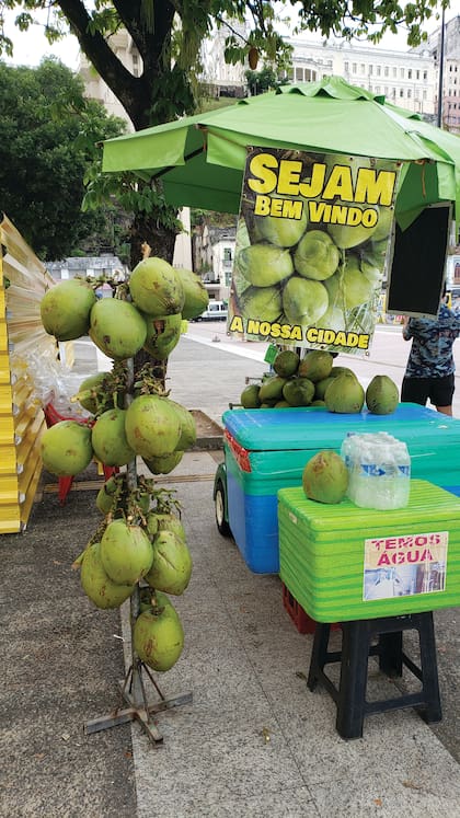 Un manjar callejero: el agua de coco a toda hora