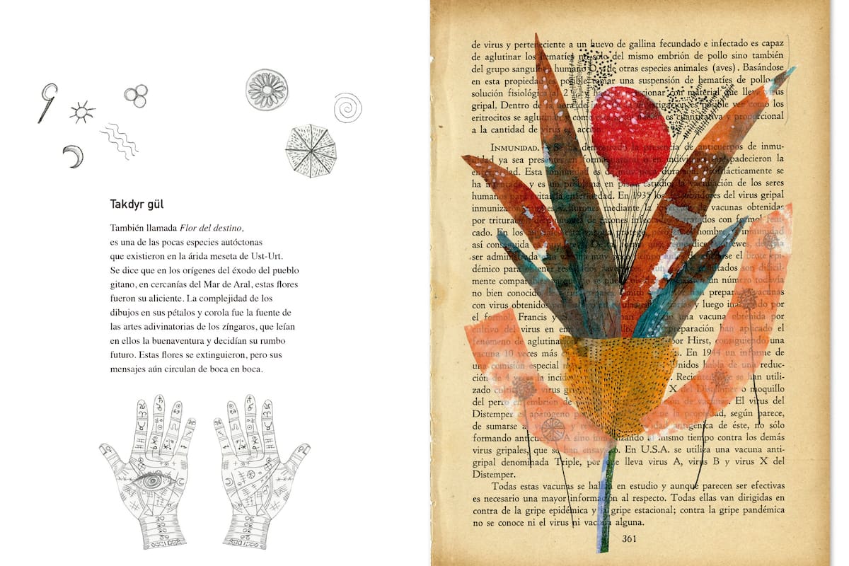 Un manual de flores ilustradas, entre la ficción y la ciencia