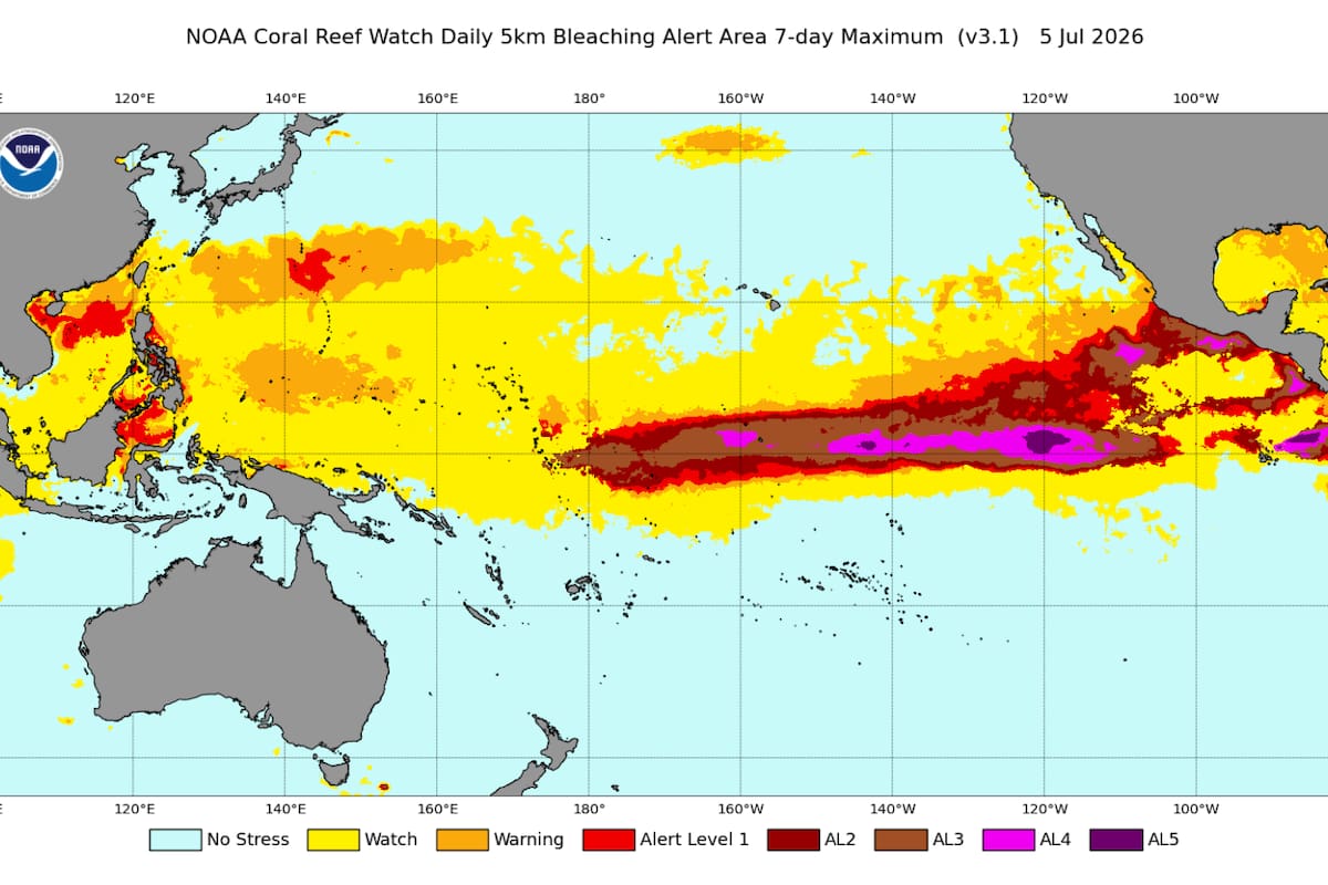Un mapa de la NOAA muestra la enorme ola de calor marina que atraviesa el Pacífico