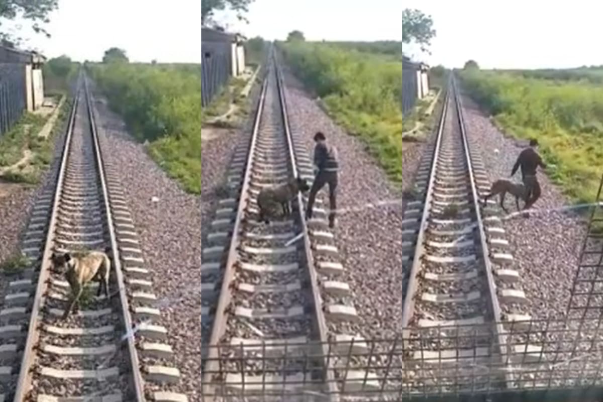 Un maquinista de trenes logró salvar a un perro que había sido atado a las vías con una cadena en Chaco