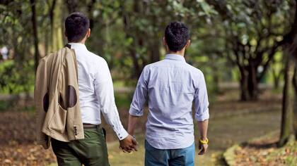 Un matrimonio homosexual podrá anotar como propio a un bebé gestado por una amiga con el óvulo de un donante