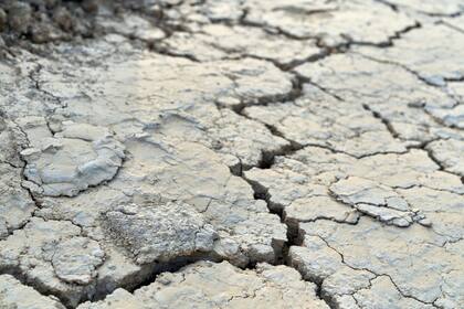 Un megaterremoto podría afectar a cinco estados de EE.UU. en los próximos 50 años