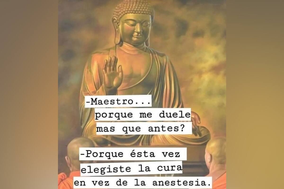 Un "meme budista" del presidente Javier Milei en Instagram