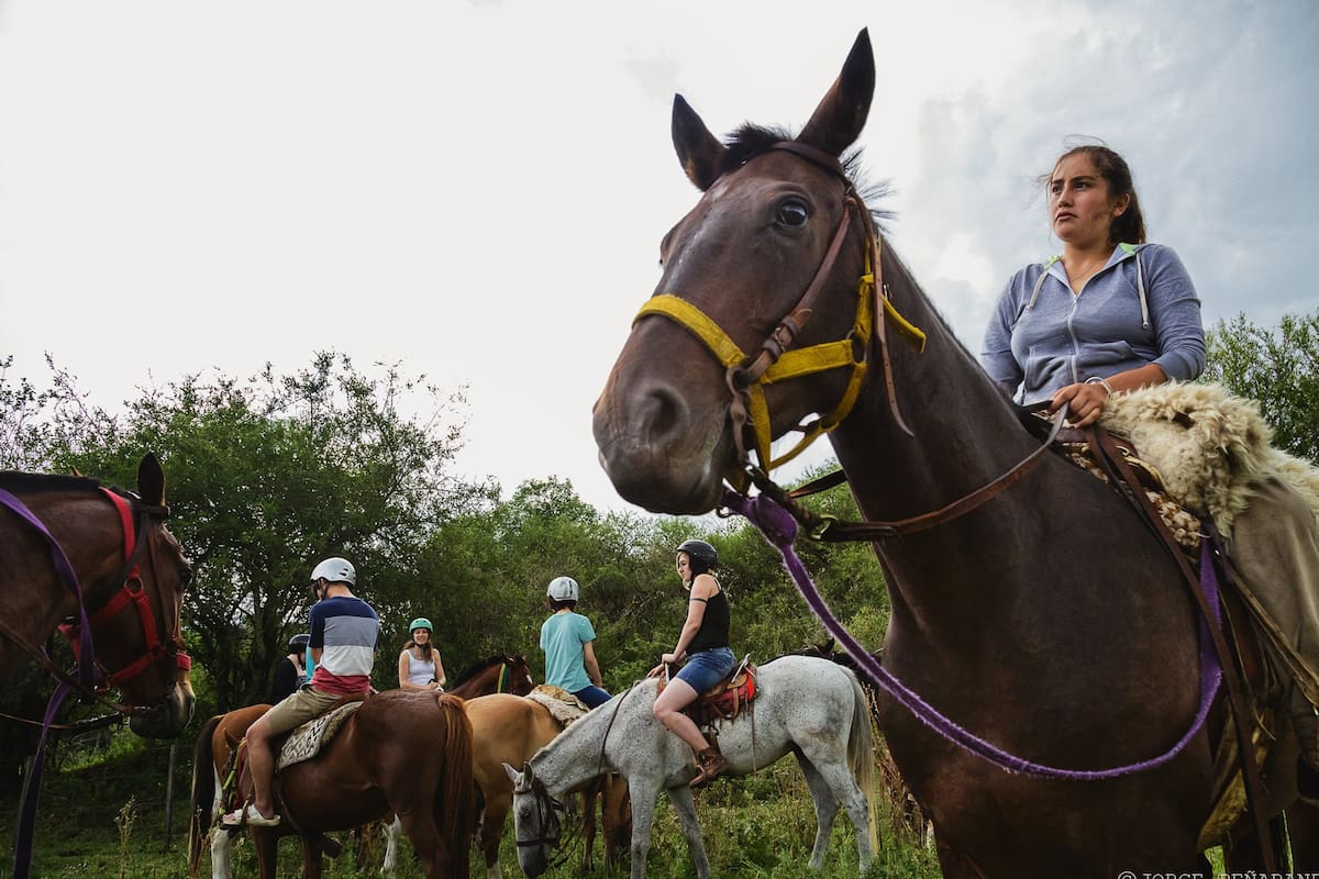 Un menú de cabalgatas en plan familiar o de aventura por campos, sierras, arroyos y postas
