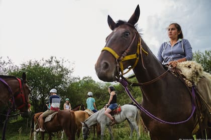 Un menú de cabalgatas en plan familiar o de aventura por campos, sierras, arroyos y postas