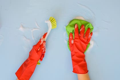 Un método casero usado en Alemania promete erradicar la humedad sin productos químicos que dañan la superficie (imagen ilustrativa)