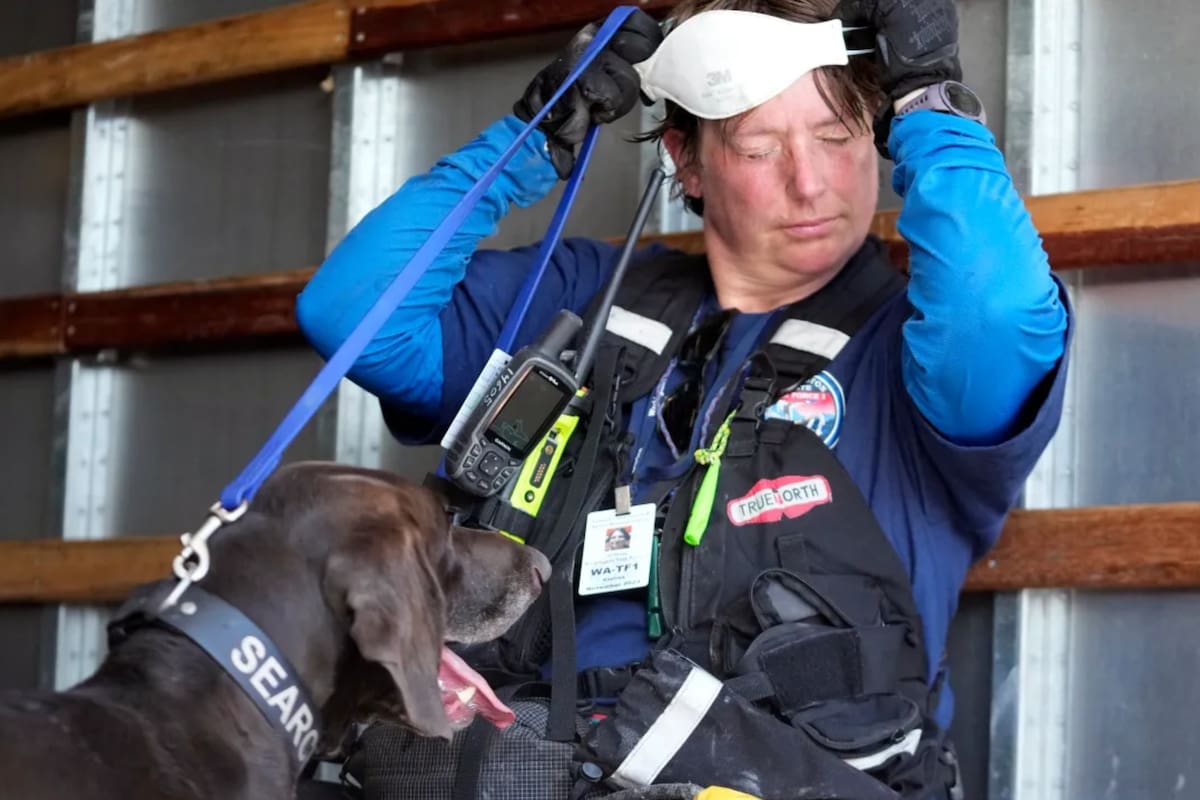 Un miembro de un equipo de búsqueda y rescate y su perro rastreador de cadáveres se refrescan cerca de Front Street, el sábado 12 de agosto de 2023, en Lahaina, Hawái, luego de los graves daños causados por los incendios forestales (Foto AP/Rick Bowmer)