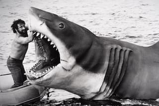 Tiburón: tensiones en el set, un director al borde del colapso y la increíble historia detrás del rodaje